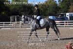 BPP_8712