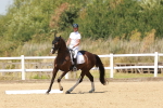SBM_022260