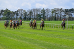 Race 2 portfolio