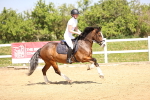 SBM_000996