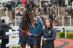 151124-Race 6-Paddock-Bright Legend-8598