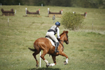 BVHT 140517  IXC -271