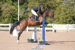 Cls 54 British Novice and 90cm portfolio