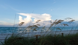 SunBeachWater  _0071