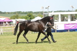 SBM_09111