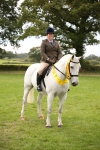 S67 - Show Cob Ridden portfolio