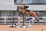 BPP_5610