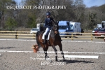 BPP_9398