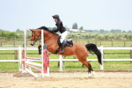 SBM_009525