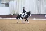 SBM_000238