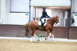 SBM_003234