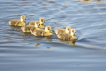 20140503-3K8A0919