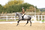 SBM_013033