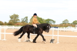 SBM_18188