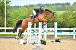 Sunday 7th Wessex Arena portfolio