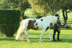 SBM_57322