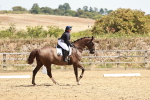 SBM_002729