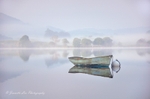 Solitude In The Mist