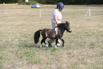 WJ6_6831