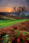 z1145 Ventnor Down