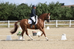 SBM_020418