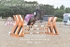 BPP_3017