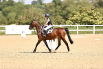 SBM_008637