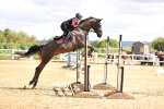 SBM_003919
