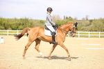 SBM_008416