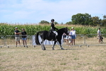 WJ6_8218