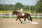 SBM_008790