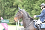 Sunday 14th British Showjumping - Click to View portfolio