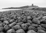 Boulders at Dunstanburgh (1)