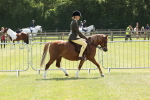 SBM_06721