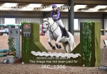 JAC_1306