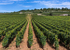 France Landscape8