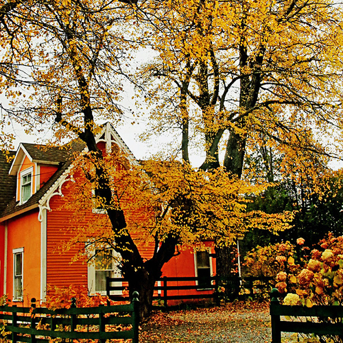 A century home surrounded by colorful fall foliage.