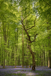 Out of the spotlight - Portrait