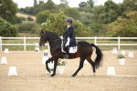 SBM_020263