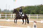 SBM_007582