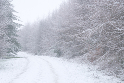 Cold tracks