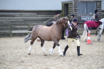 SBM_007262