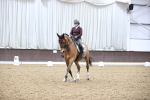 SBM_002811