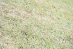 SBM_05949