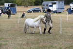 WJ6_5943