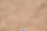 260730-152046-02260