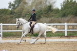 SBM_004309
