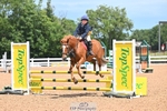 Cls 24 British Novice and 80cm portfolio