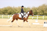 SBM_007333