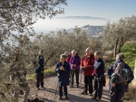 240424 Spello to Monte Subasio